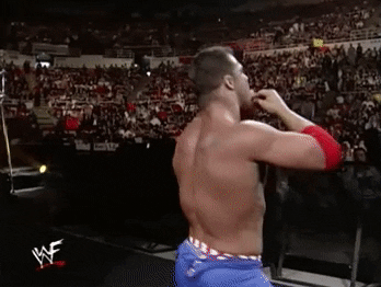 survivor series wrestling GIF by WWE