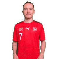 Switzerland Suisse Sticker by Swiss Football Association