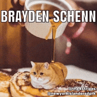 New York Islanders Cat GIF