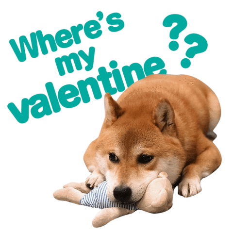 adlibfashion giphyupload valentinesday shiba pjai Sticker