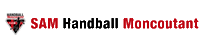 SAMHandballMoncoutant handball sam moncoutant Sticker