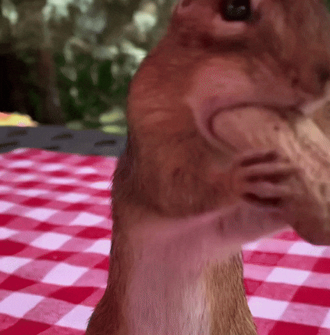 Mouth Eating GIF by 8it