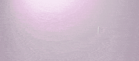HUisHU-Agentur digital creative kreativ huishu GIF