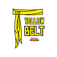 Martial Arts Artes Marciais Sticker by TKA Kung Fu