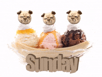 Dog Sunday GIF by MUG ROOT BEER