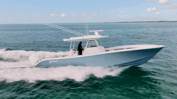 Boat Fishing GIF by GEMLUX