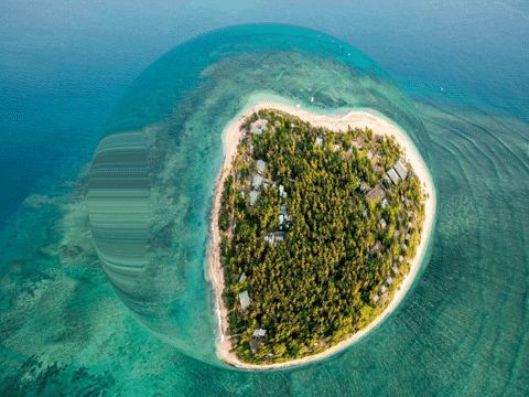 You Can Wow GIF by FranchiseONE.de