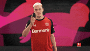 Bayer Leverkusen GIF by Bundesliga