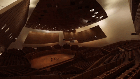 ShanghaiSO giphygifmaker concert audience orchestra GIF