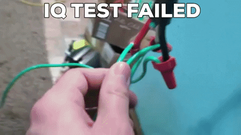 Prisuhmm giphygifmaker iq test breezetix GIF