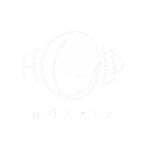 littlemoonshowcase holdmuhely little moon littlemoon aprohold Sticker