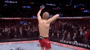 Sport GIF by UFC
