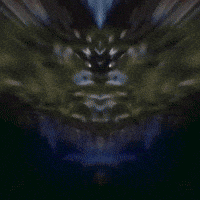 Art Water GIF by John Fogarty