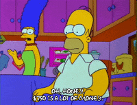 Season 3 Budget GIF by The Simpsons