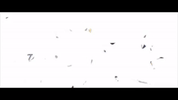 GIF by Exocus Artistry