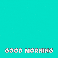 Good Morning Crypto GIF by Foxy
