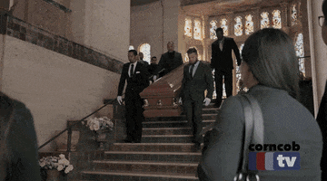 GIF by Vulture.com