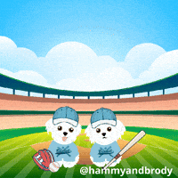 Dog Baseball GIF by HammyandBrody