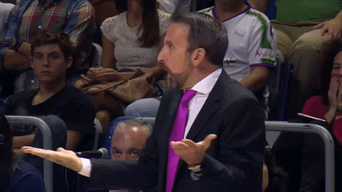 liga endesa what GIF by ACB