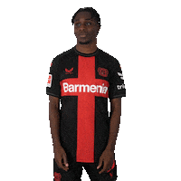 Football Applause Sticker by Bayer 04 Leverkusen