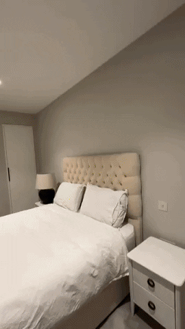 ximenaz giphyupload GIF
