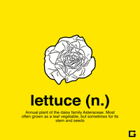 I Like Food GIF by gifnews