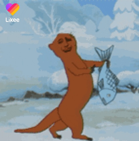 Happy Cat GIF by Likee US