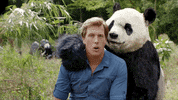 Bear Flirt GIF by Freek Vonk