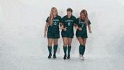 Huntington University GIF by FDN Sports