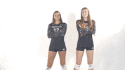 Huntington University Hu Volleyball GIF by FDN Sports