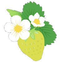 Illustration Strawberry Sticker by copochan