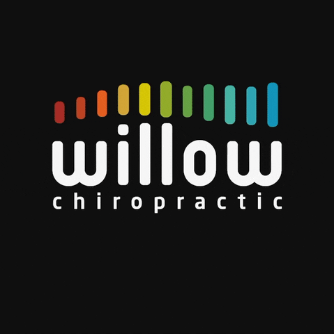 WillowChiropractic giphyupload willow chiropractic chiropractors GIF