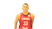Nick Nurse Game Sticker by FIBA