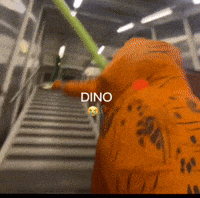 Trending Funny Meme GIF