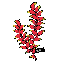 Bolivia Sticker by IKAWI