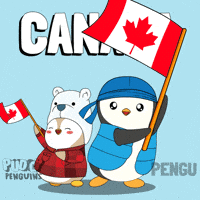 Canadian Penguin GIF by Pudgy Penguins