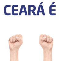 Politica Df Sticker by PSD Ceará