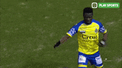 Sport Celebration GIF by Play Sports
