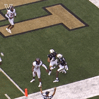 Celebrate Vanderbilt Football GIF by Vanderbilt Athletics