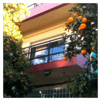 elojodenestor pixel gif art remix apropiacion GIF