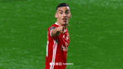 Not Bad Sl Benfica GIF by Sport Lisboa e Benfica