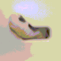 Everyone GIF