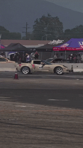 Nascar Driver Corvette GIF by jesse_iwuji