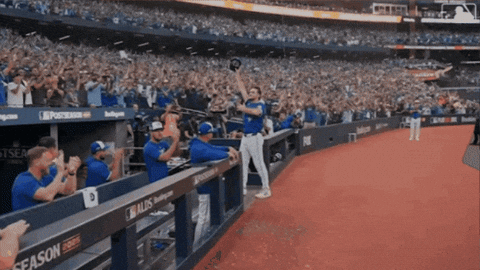 Blue Jays Baseball GIF by Toronto Blue Jays