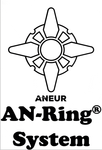 ANEURSL system andamio aneur scaffolds GIF
