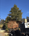 madmoizelledotcom  GIF