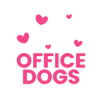 peakydigitalagency marketing office dog peakydigital peakydigitalagency Sticker