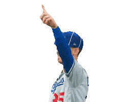 La Dodgers Sport Sticker by MLB