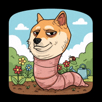 Shiba Inu Smiling GIF by Doge Pound