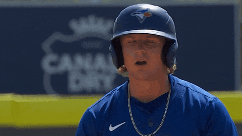 Blue Jays Yes GIF by Toronto Blue Jays